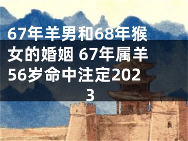 67年羊男和68年猴女的婚姻 67年属羊56岁命中注定2023