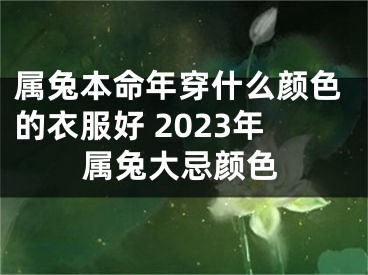 属兔本命年穿什么颜色的衣服好 2023年属兔大忌颜色