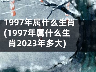 1997年属什么生肖(1997年属什么生肖2023年多大)