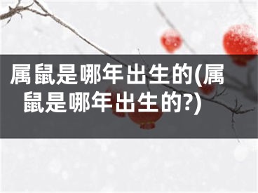属鼠是哪年出生的(属鼠是哪年出生的?)