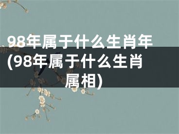 98年属于什么生肖年(98年属于什么生肖属相)