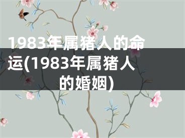 1983年属猪人的命运(1983年属猪人的婚姻)