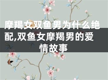摩羯女双鱼男为什么绝配,双鱼女摩羯男的爱情故事