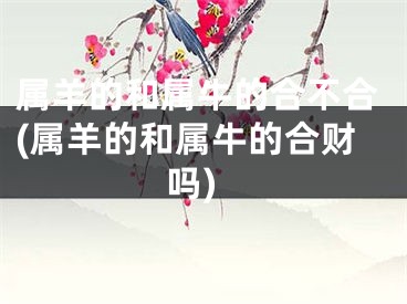 属羊的和属牛的合不合(属羊的和属牛的合财吗)