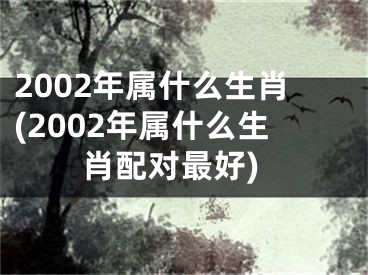 2002年属什么生肖(2002年属什么生肖配对最好)