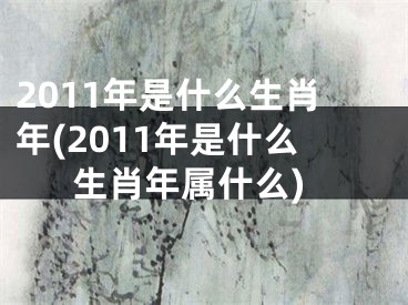 2011年是什么生肖年(2011年是什么生肖年属什么)
