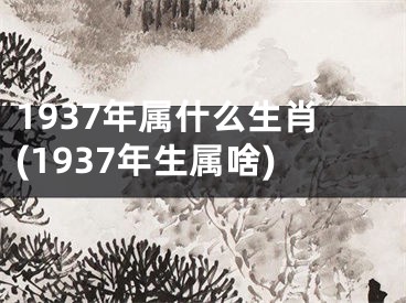 1937年属什么生肖(1937年生属啥)