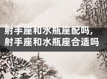 射手座和水瓶座配吗,射手座和水瓶座合适吗