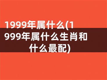 1999年属什么(1999年属什么生肖和什么最配)