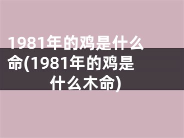 1981年的鸡是什么命(1981年的鸡是什么木命)