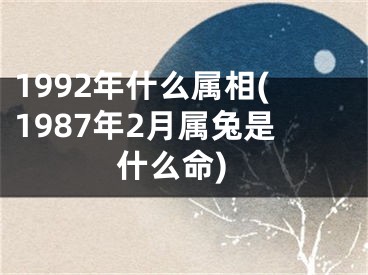 1992年什么属相(1987年2月属兔是什么命)