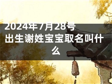 2024年7月28号出生谢姓宝宝取名叫什么