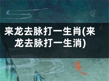 来龙去脉打一生肖(来龙去脉打一生消)