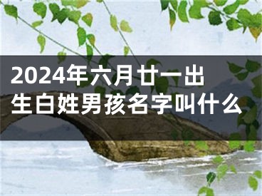 2024年六月廿一出生白姓男孩名字叫什么