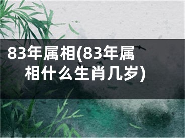 83年属相(83年属相什么生肖几岁)