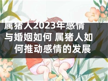 属猪人2023年感情与婚姻如何 属猪人如何推动感情的发展