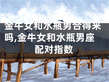 金牛女和水瓶男合得来吗,金牛女和水瓶男座配对指数