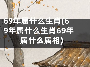 69年属什么生肖(69年属什么生肖69年属什么属相)