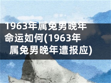 1963年属兔男晚年命运如何(1963年属兔男晚年遭报应)