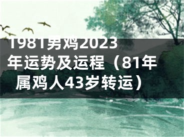 1981男鸡2023年运势及运程（81年属鸡人43岁转运）