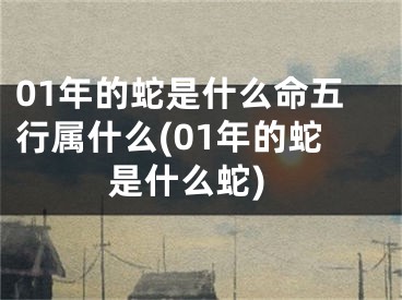 01年的蛇是什么命五行属什么(01年的蛇是什么蛇)