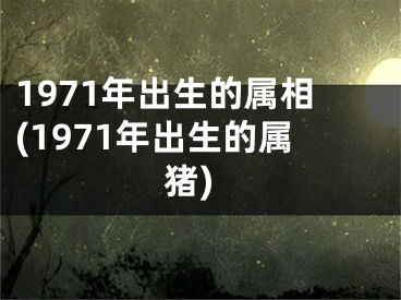1971年出生的属相(1971年出生的属猪)
