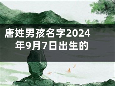 唐姓男孩名字2024年9月7日出生的