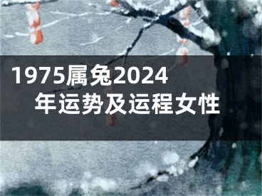 1975属兔2024年运势及运程女性