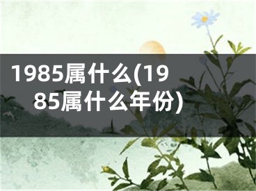 1985属什么(1985属什么年份)