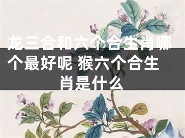 龙三合和六个合生肖哪个最好呢 猴六个合生肖是什么