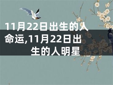 11月22日出生的人命运,11月22日出生的人明星