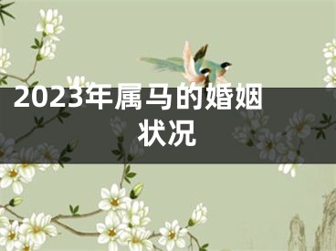 2023年属马的婚姻状况