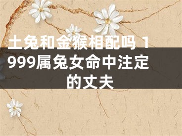 土兔和金猴相配吗 1999属兔女命中注定的丈夫