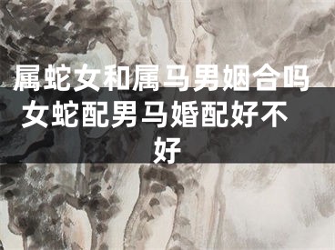 属蛇女和属马男姻合吗 女蛇配男马婚配好不好