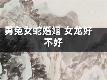 男兔女蛇婚姻 女龙好不好