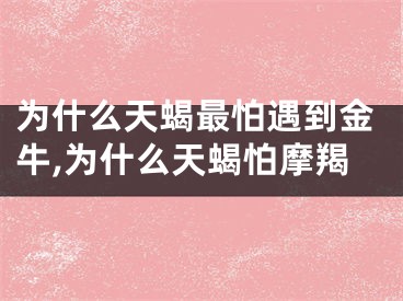 为什么天蝎最怕遇到金牛,为什么天蝎怕摩羯