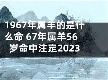 1967年属羊的是什么命 67年属羊56岁命中注定2023