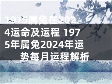 1975属兔在2024运命及运程 1975年属兔2024年运势每月运程解析