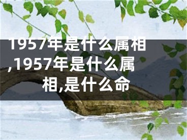 1957年是什么属相,1957年是什么属相,是什么命