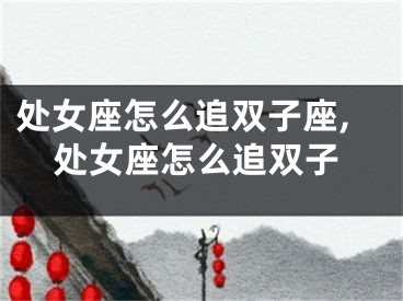 处女座怎么追双子座,处女座怎么追双子