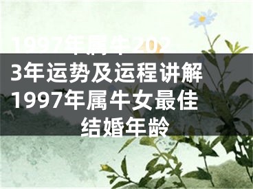 1997年属牛2023年运势及运程讲解 1997年属牛女最佳结婚年龄