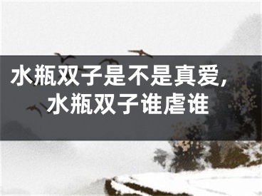 水瓶双子是不是真爱,水瓶双子谁虐谁
