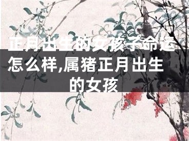 正月出生的女孩子命运怎么样,属猪正月出生的女孩