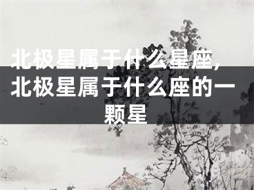 北极星属于什么星座,北极星属于什么座的一颗星