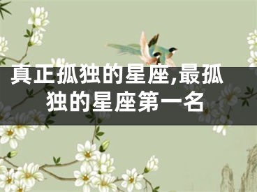真正孤独的星座,最孤独的星座第一名