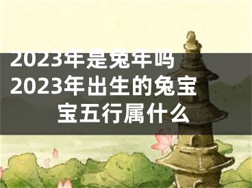 2023年是兔年吗 2023年出生的兔宝宝五行属什么