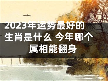 2023年运势最好的生肖是什么 今年哪个属相能翻身