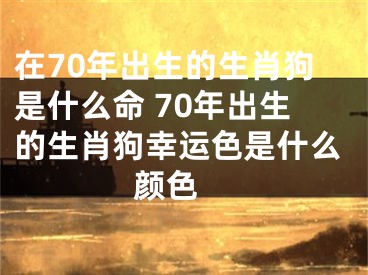 在70年出生的生肖狗是什么命 70年出生的生肖狗幸运色是什么颜色 