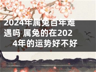 2024年属兔百年难遇吗 属兔的在2024年的运势好不好