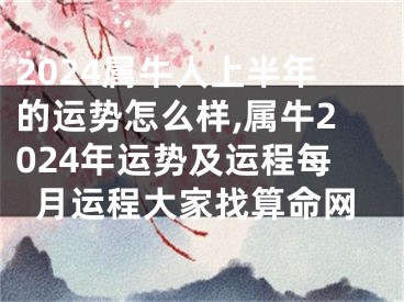 2024属牛人上半年的运势怎么样,属牛2024年运势及运程每月运程大家找算命网